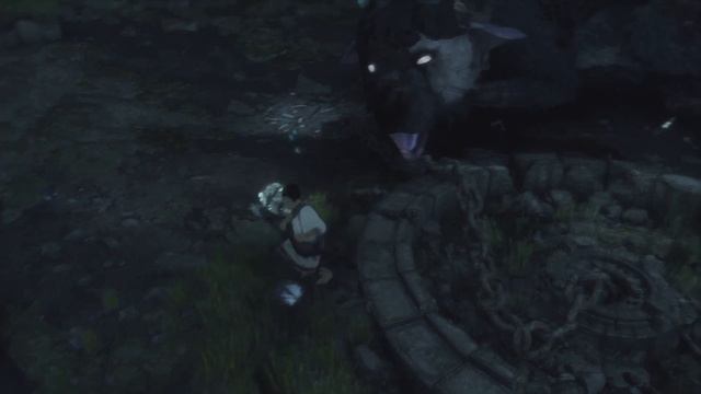 Прохождение The Last Guardian #1 | Привет Трико "Последний Хранитель" (PS4 Pro) смотреть онлайн