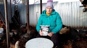 Кокцидиоз - опасное заболевание кур. Методы профилактики.