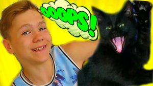 КОШЕЧКУ Никису УКРАЛИ!!!