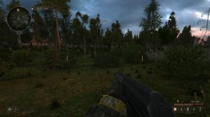 TRUE STALKER   ЗАВАРУШКА