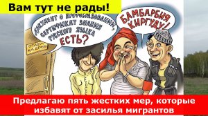 Вам тут не рады! Предлагаю пять жестких мер, которые избавят от засилья мигрантов