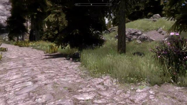 Modded The Elder Scrolls V Skyrim Special Edition ENB 4k60 GTX 1080Ti SLi test 2 смотреть онлайн