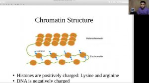 স্টেপ ১| বাংলাদেশীদের জন্য | Intro | Biochemistry Lesson 1