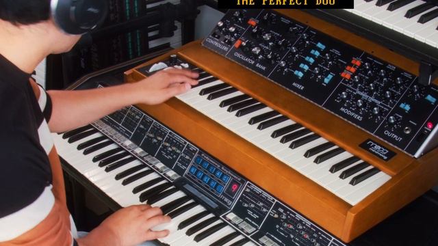 POLYMOOG X MINIMOOG LETS GO! 🔥 смотреть онлайн