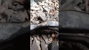 Задняя рессора.Presage - Bassara. R.nessa