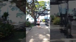 Обзор территории отеля Cozy Beach hotel в Паттайе Таиланд . Район Пратамнак