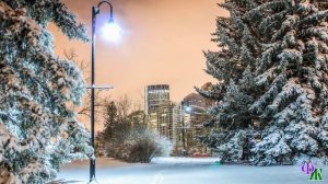 Кот САНТАНА 1. «Откуда ты взялся?» - передо мной стоял, созданный в моём сознании, Сатана