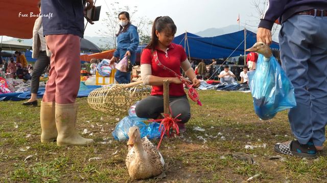 Harvesting Ducks Goes To Village Market Sell - Repair Ducks Farm & Buy Ducklings To Raise смотреть онлайн