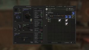 ☢️ Как я вступал в Завет | Stalcraft | Завет