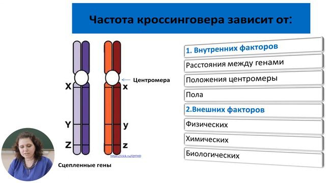Биология, 12-й класс, Сцепленное наследование признаков