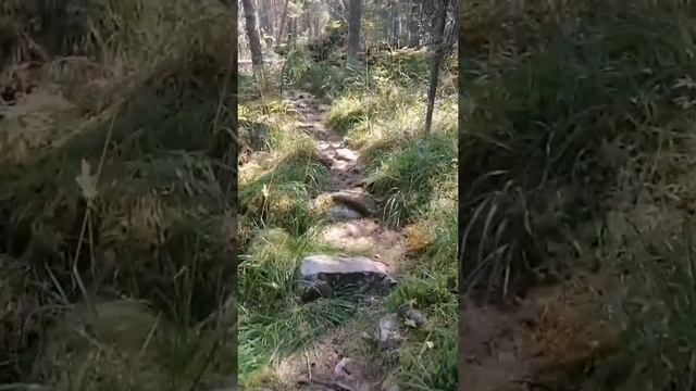 ретрит на место силы Южного Урала, гора Иремель смотреть онлайн