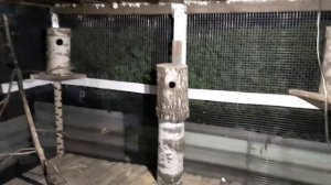 ДОМ ДЛЯ БЕЛОК СВОИМИ РУКАМИ. ДОМАШНЕЕ СОДЕРЖАНИЕ ЛЕСНЫХ БЕЛОК.