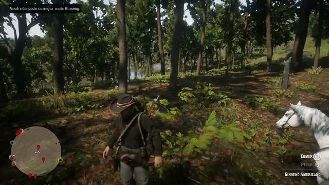 🟢rdr 2 ginseng americano colhido localização смотреть онлайн