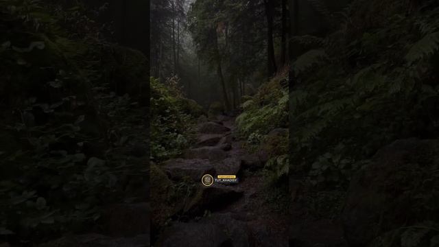 АИША ИЗМАЗАЛА едой лицо жены Пророка ﷺ Саувды перед Пророком ﷺ смотреть онлайн