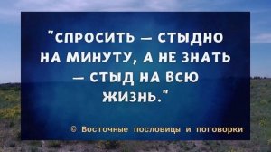 Восточные пословицы и поговорки | Восточная мудрость