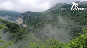 Rain and Bird Sounds High in the Mountains