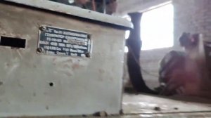 Дизель-генератор с Двигателем  ЯМЗ-238 экспресс-обзор от Алексея Смирнова