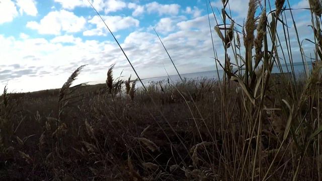 Казаки на охоте смотреть онлайн