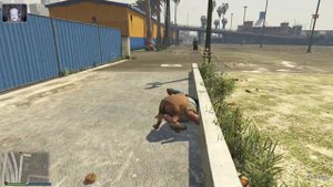 GTA Online (Лофофора): Ротвейлер