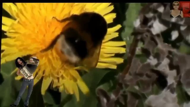 Желтые Одуванчики, ранили сердце мальчика 🌺🌺🌺 смотреть онлайн