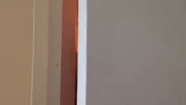 Zanussi ZBB28441SA Built In Fridge Freezer Review смотреть онлайн