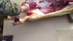 Зарезали поросенка. 70 кг чистого мяса. Как разделывать поросенка.