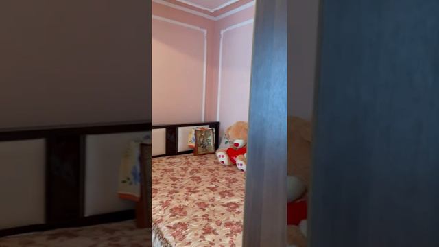 Алексеевка Никитина 11087865