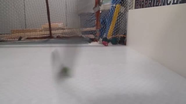 HockeyShots Smart Hockey Ball Review