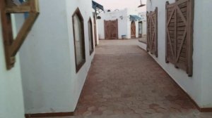 Домина Корал Бей. Обзор отеля сверху 2021.02