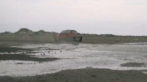 M5 LIMMA & Frieze Horse