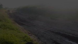 Десна 220 Фантом