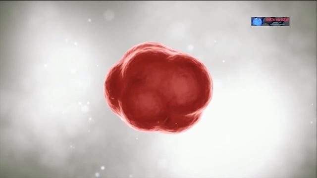 ДНК. Мутация в Раковую Клетку. Лечение Рака в HD смотреть онлайн