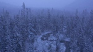 Snow Camping in a Winter Wonderland - Van Life