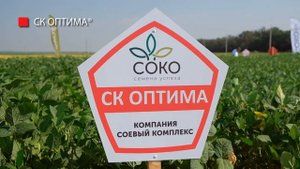 СОКО - лидер отечественной селекции. Новые сорта сои к сезону 2021 года
