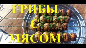 ШАМПИНЬОНЫ НА УГЛЯХ.ФАРШИРОВАННЫЕ ГРИБЫ С МЯСОМ НА КОСТРЕ. #55.mp4