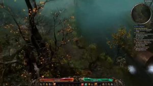 Grim Dawn 1080p 60fps test