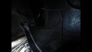 парктроник в ниву