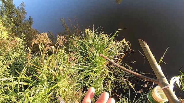 Рыбалка на САМОЛОВКИ-ПОСТАВУШКИ смотреть онлайн