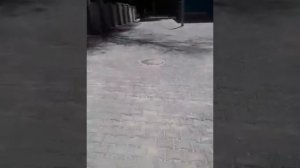 среда 26 мая 2021 года город Покров Украина Днепропетровская область 14:00 28°С
