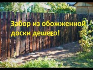 Забор своими руками из дерева дешево.