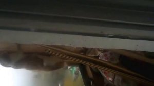 кот понял что его спалили