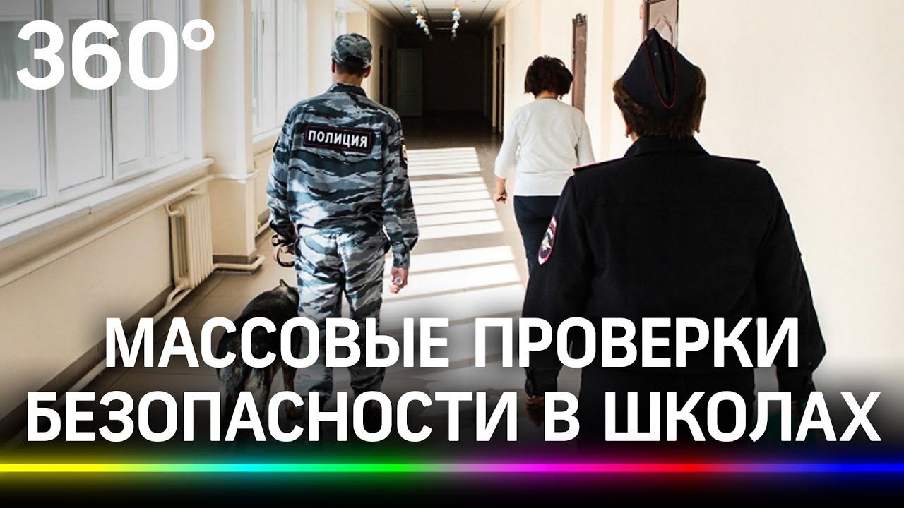 От рамок металлоискателей до ЧОПов: после трагедии в Казани в Подмосковье идут проверки в школах