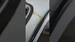 #раптор#титан за или против