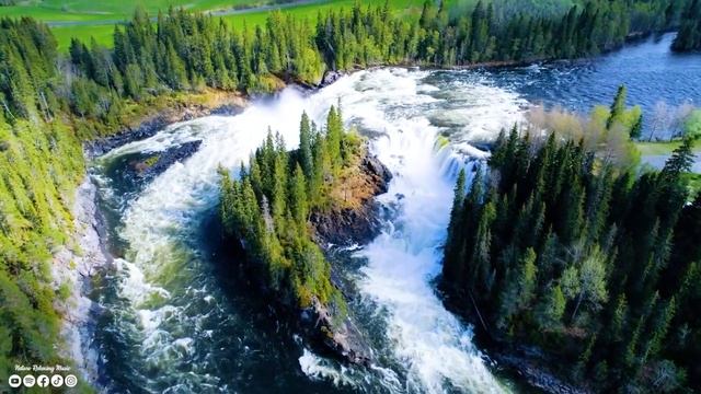 Нежная музыка, успокаивает нервную систему и радует душу ? лечебная музыка для сердца и сосудов смотреть онлайн