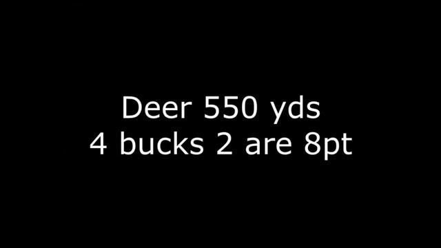 AGM Global Vision thermal monocular Taipan TM25-384 смотреть онлайн