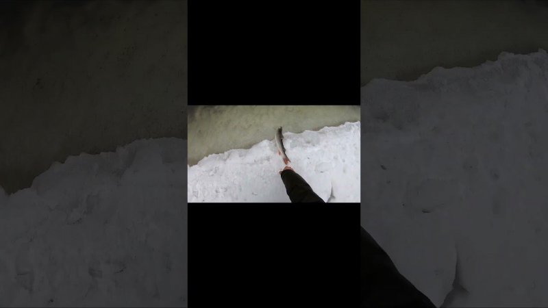 Весенняя рыбалка на горной реке #рыбалка #яспиннингист