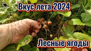 Дары лета 🤗Набрали крупной и спелой ягоды🍓