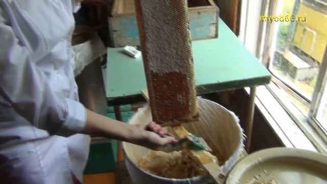 Качаем Правильный мёд! смотреть онлайн