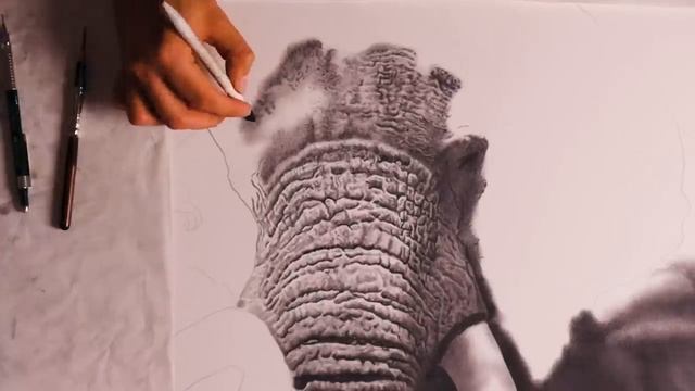 Problem Solving Drawing Hyperrealistic Textures смотреть онлайн