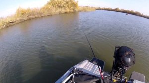 УСТЬ АЛЕУС НА ПОДЪЕМЕ УРОВНЯ ВОДЫ | КОРАБЛЬ СЕЛ НА МЕЛЬ | ЖАБЫ АТАКУЮТ